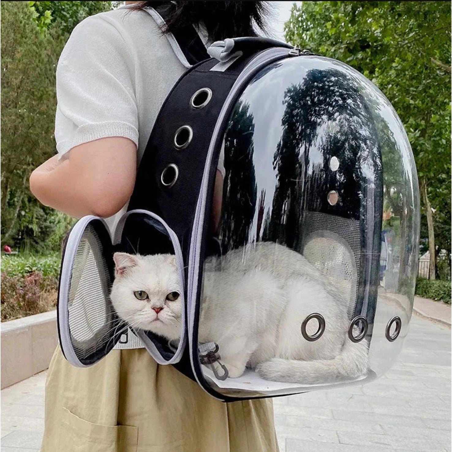 Cat Carriers Transparent & Travel Bag