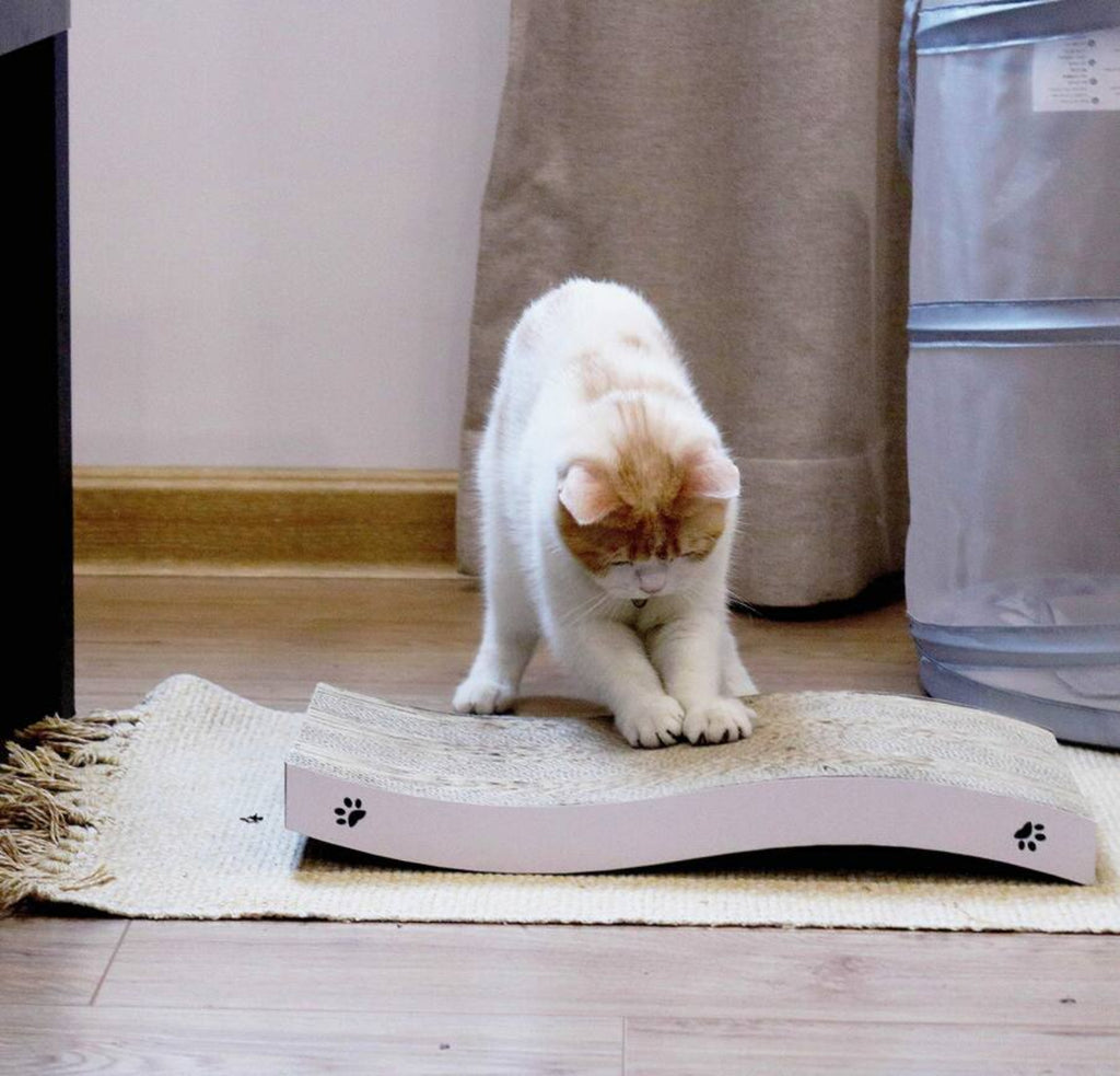 cat scratch pad/ board