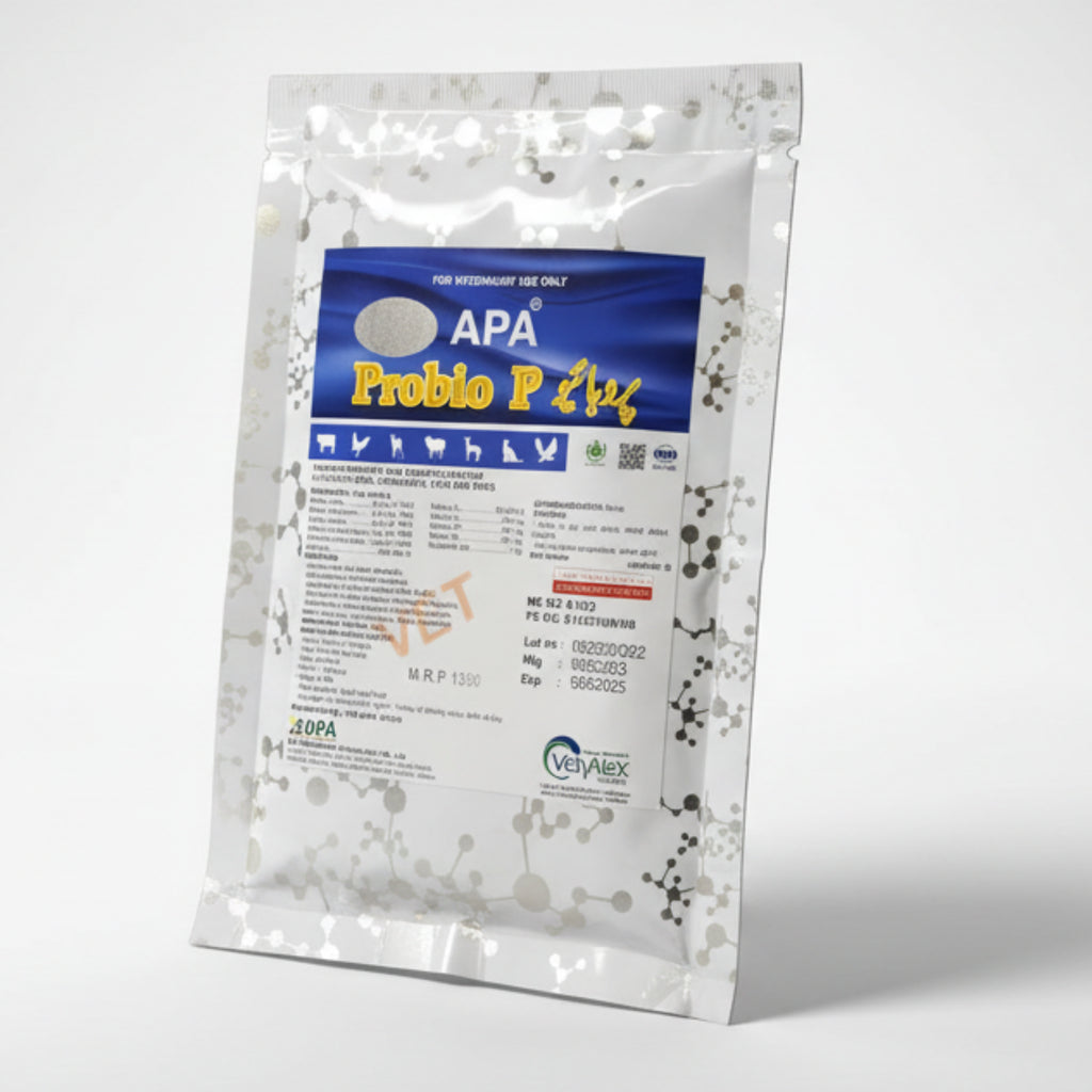 Probio P – Enhance Immunity & Digestive Health