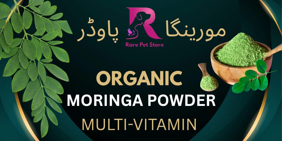 Moringa Powder Organic for Birds – 100% Natural Multivitamin