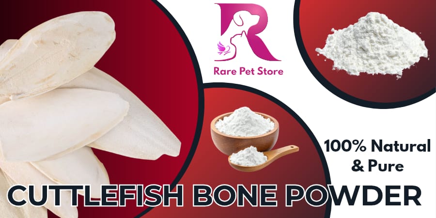 Cuttlefish Bone Powder 100% Natural & Pure