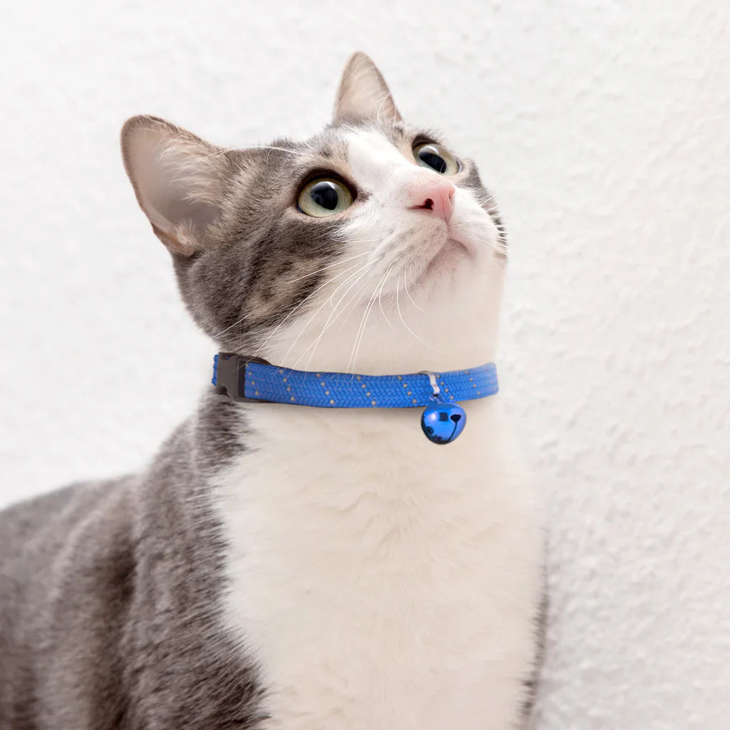 Cat Collar with bell Difrent Color