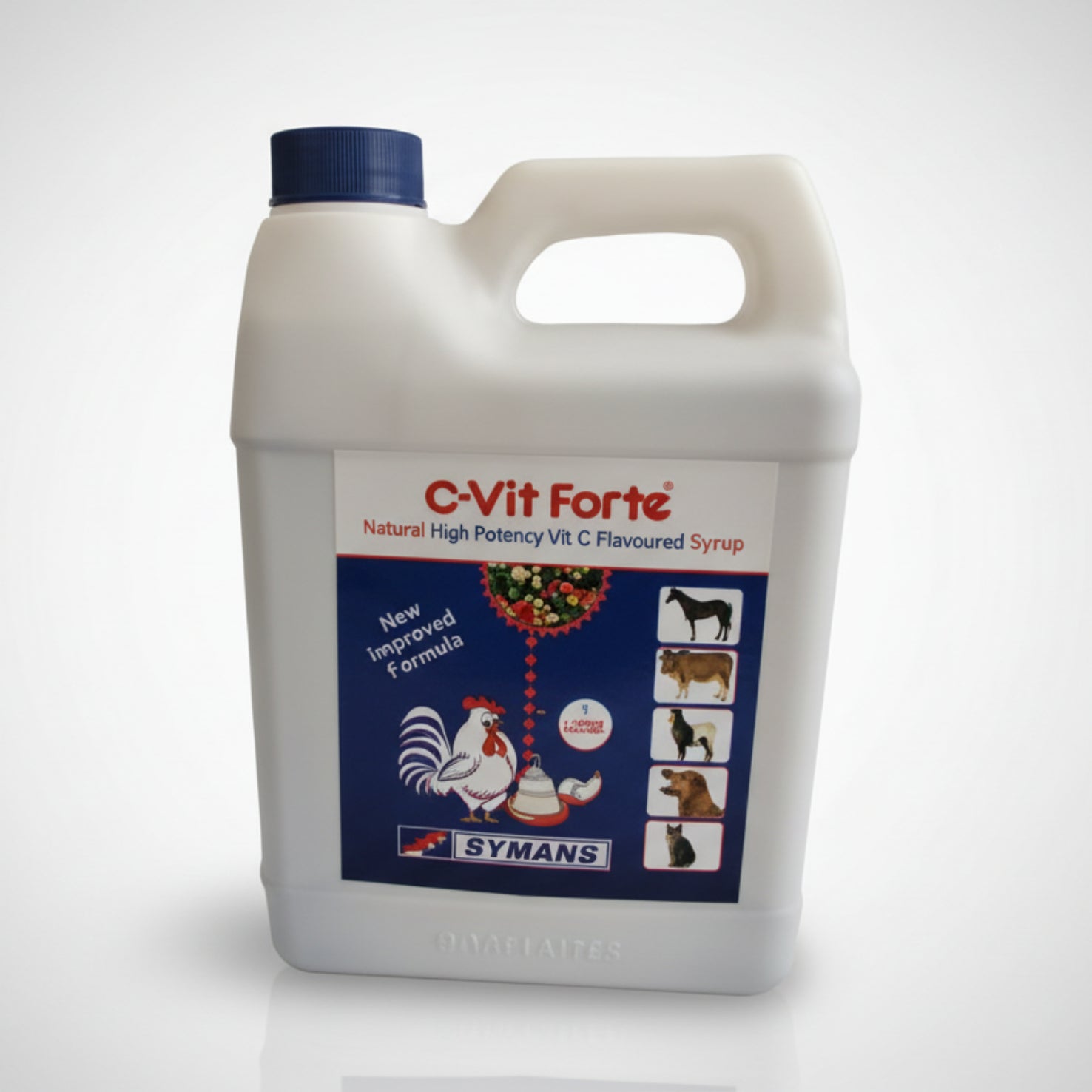 C Vit Forte - Vitamin C Falavoured Syrup