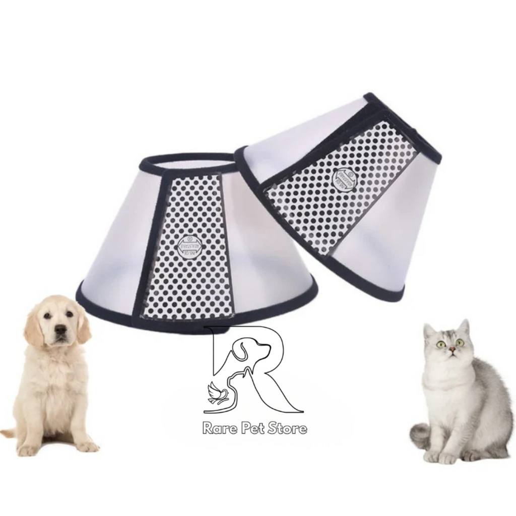 Collar (E-Collar) for Pets – Protective & Comfortable