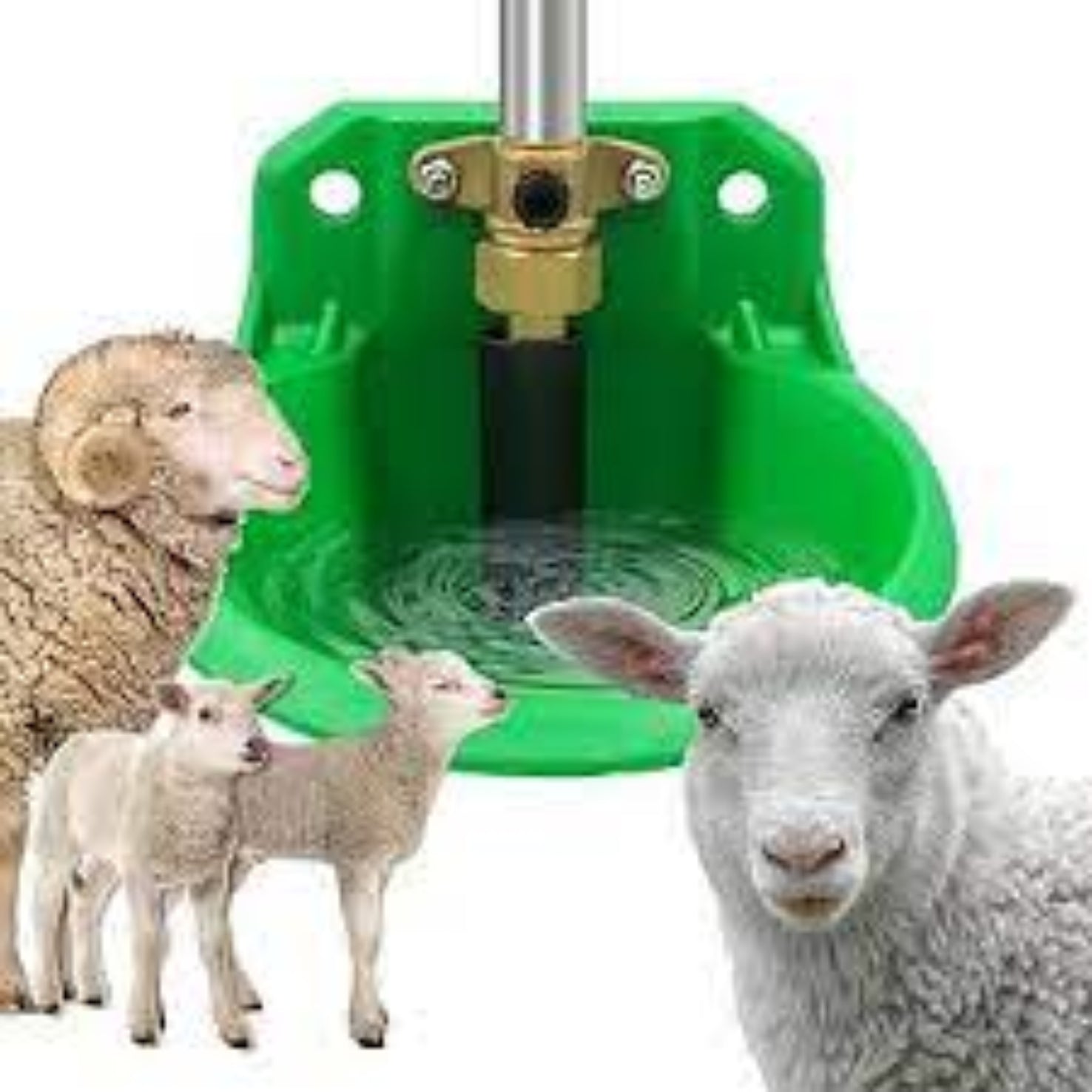 Goat Auto Drinker - 1L Automatic Water Bowl