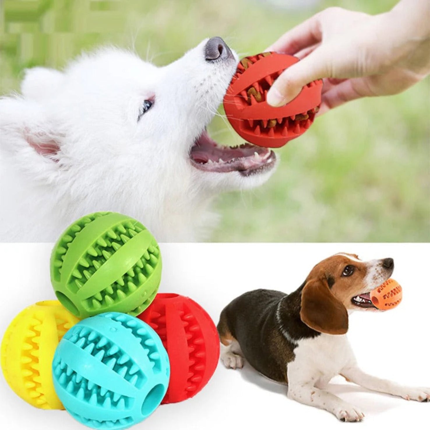 Treat Ball Teather for Dog and Cats