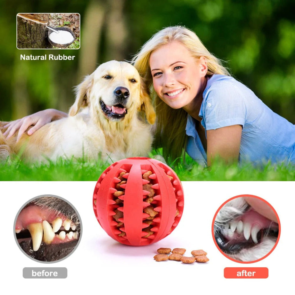 Treat Ball Teather for Dog and Cats