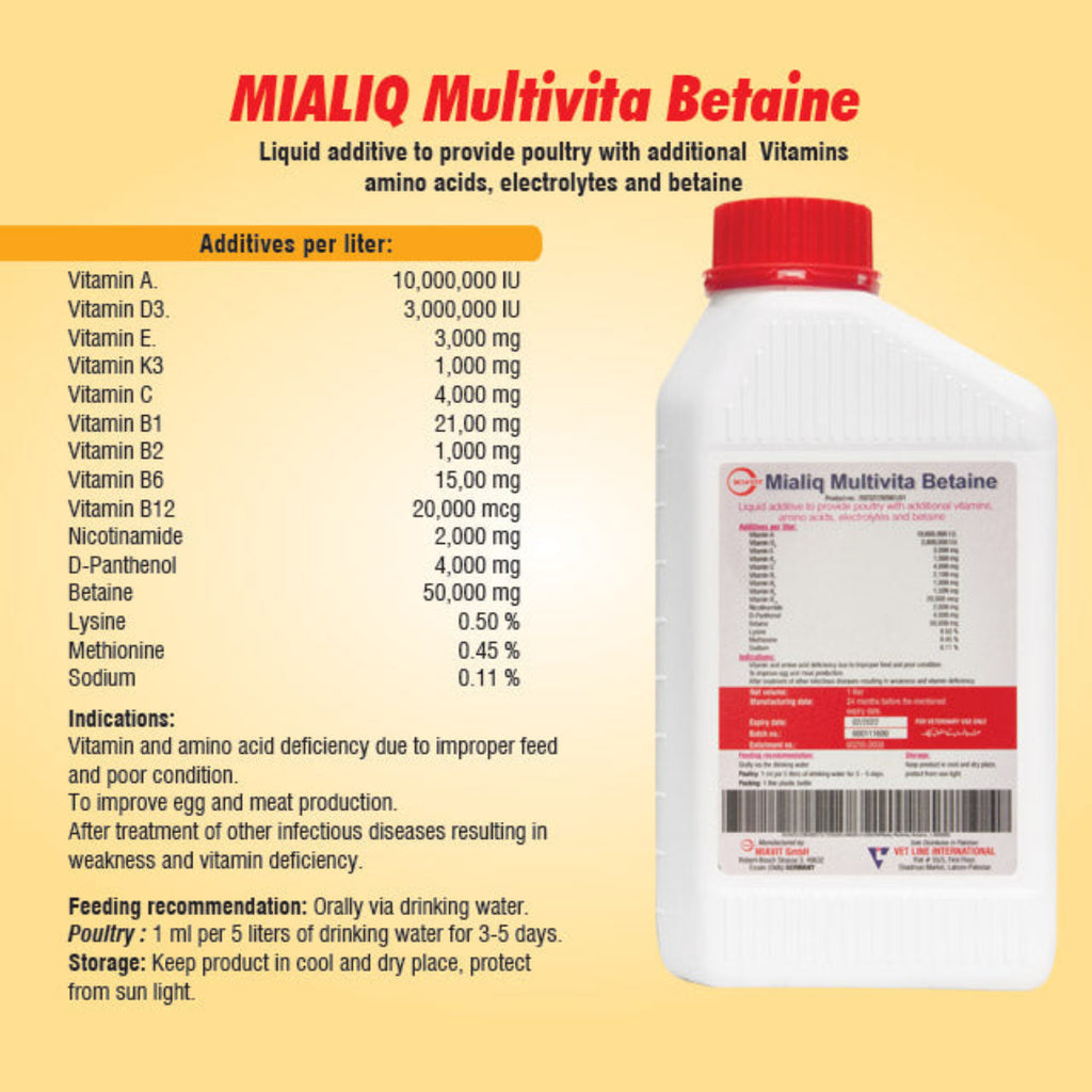 Mialiq Multivitamin Betaine – Enhance Health & Productivity