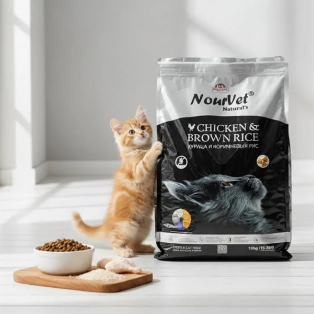 Nourvet Natural's Chicken & Brown Rice