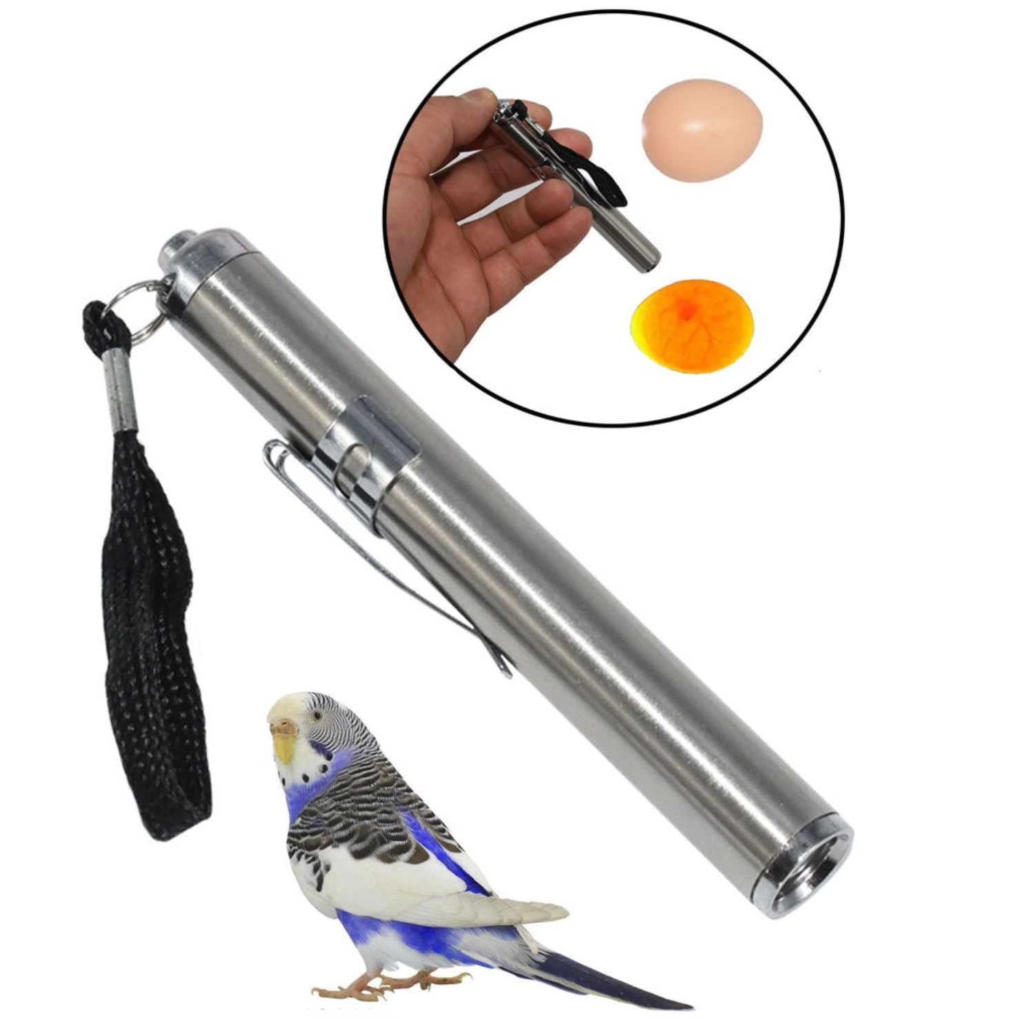 Egg Candling Pen Light – Super Bright LED for Egg Inspection Regula