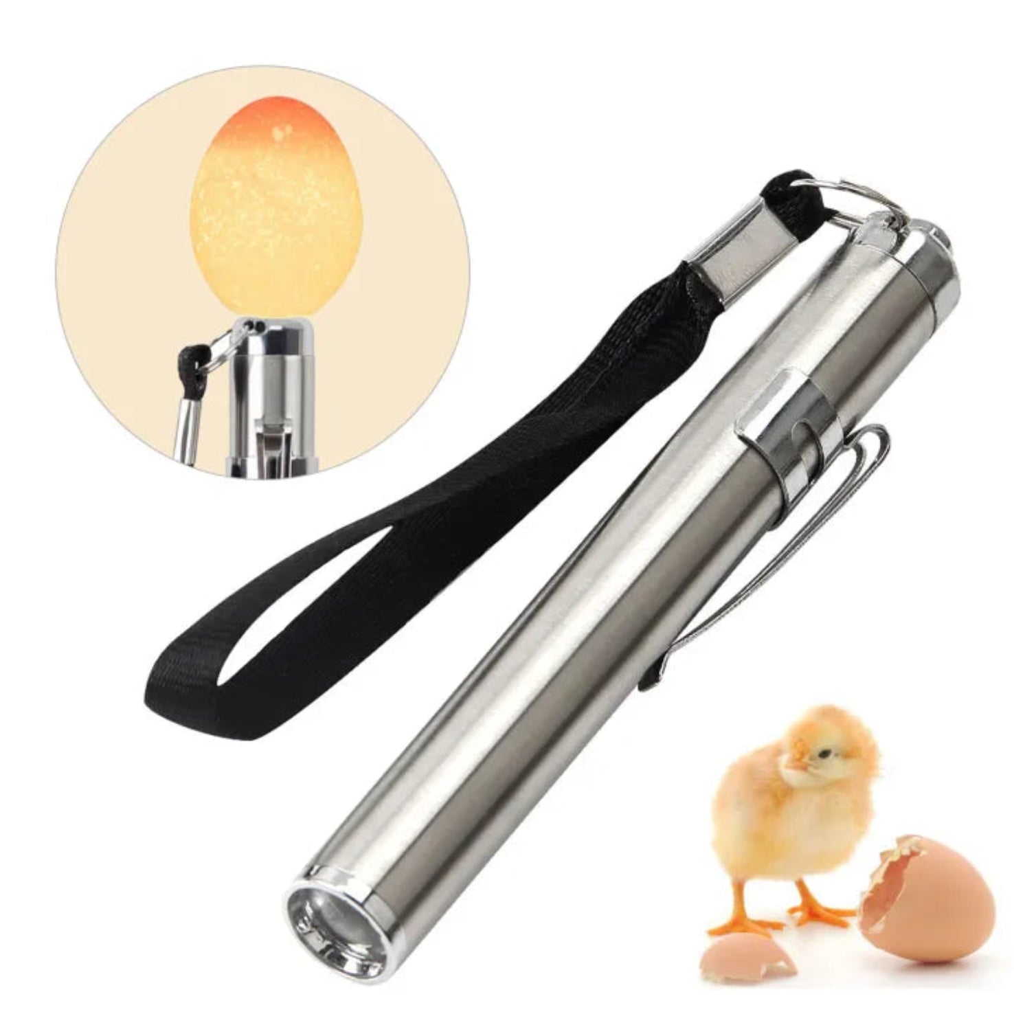 Egg Candling Pen Light – Super Bright LED for Egg Inspection Regula