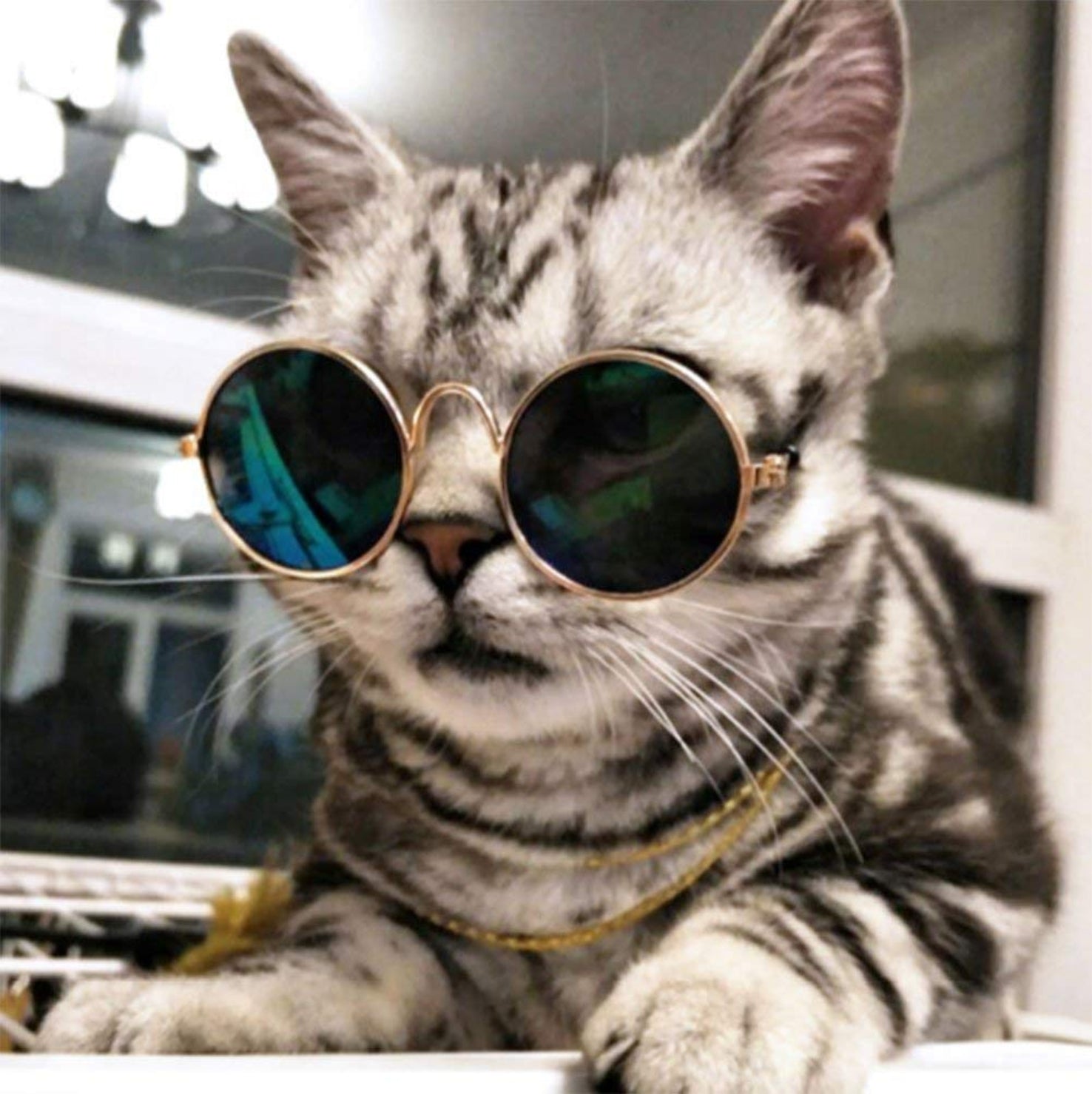 Cats Fancy Face Glasses - Imported