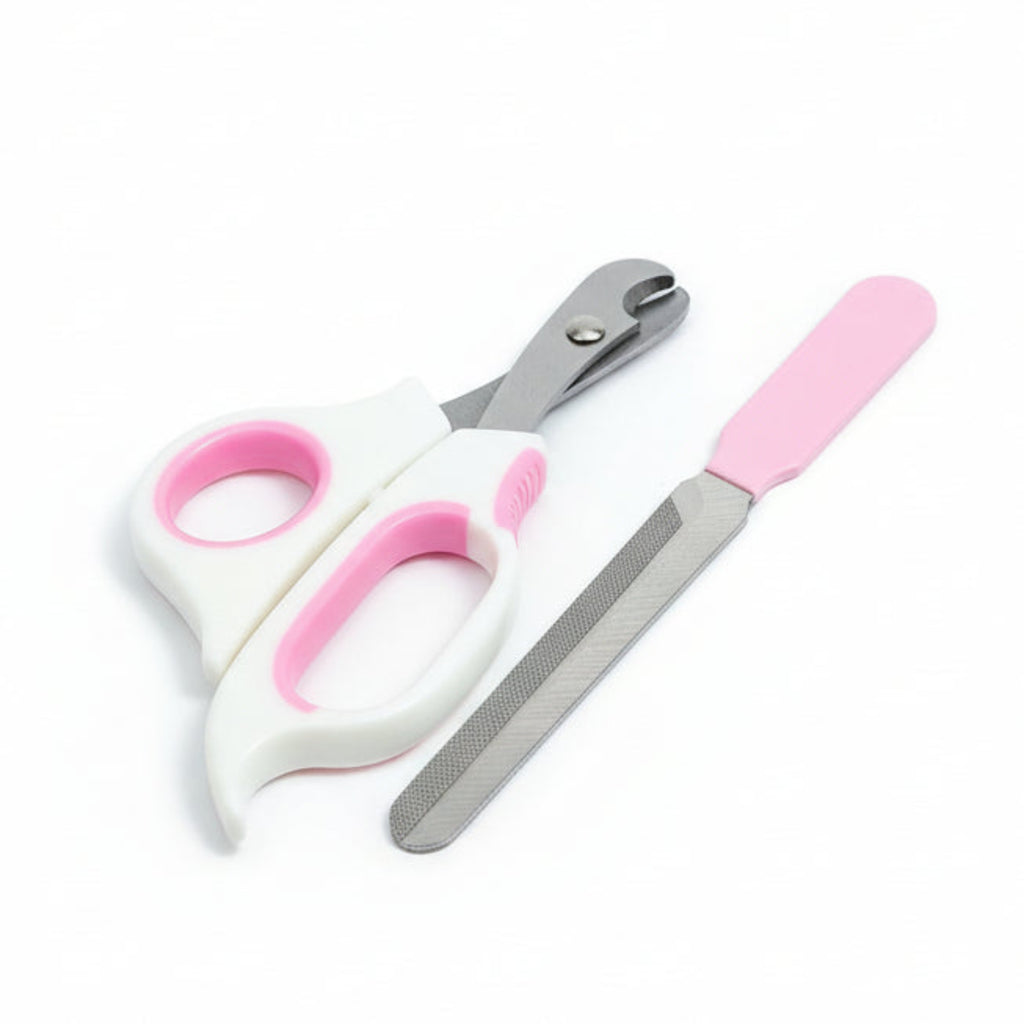 Precision Care for Your Pet's Paws: Nail Clippers