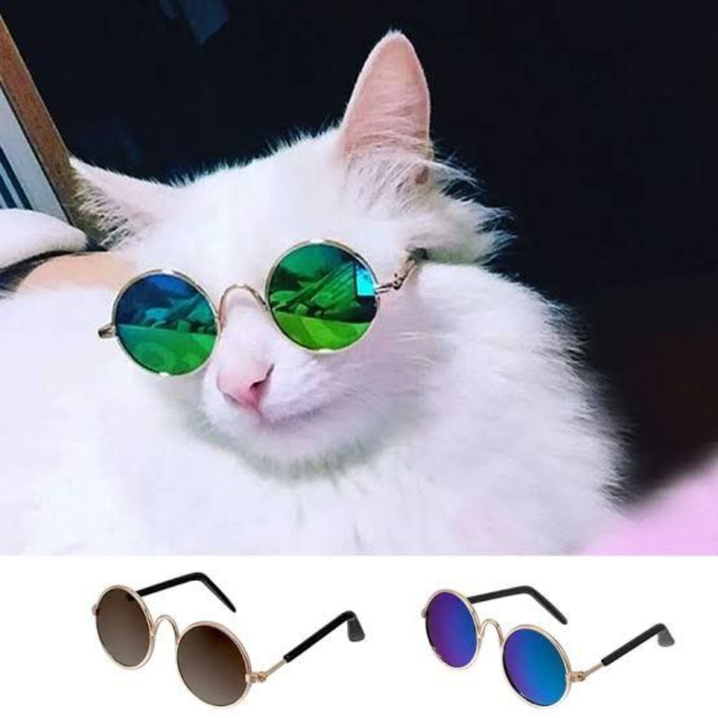 Cats Fancy Face Glasses - Imported