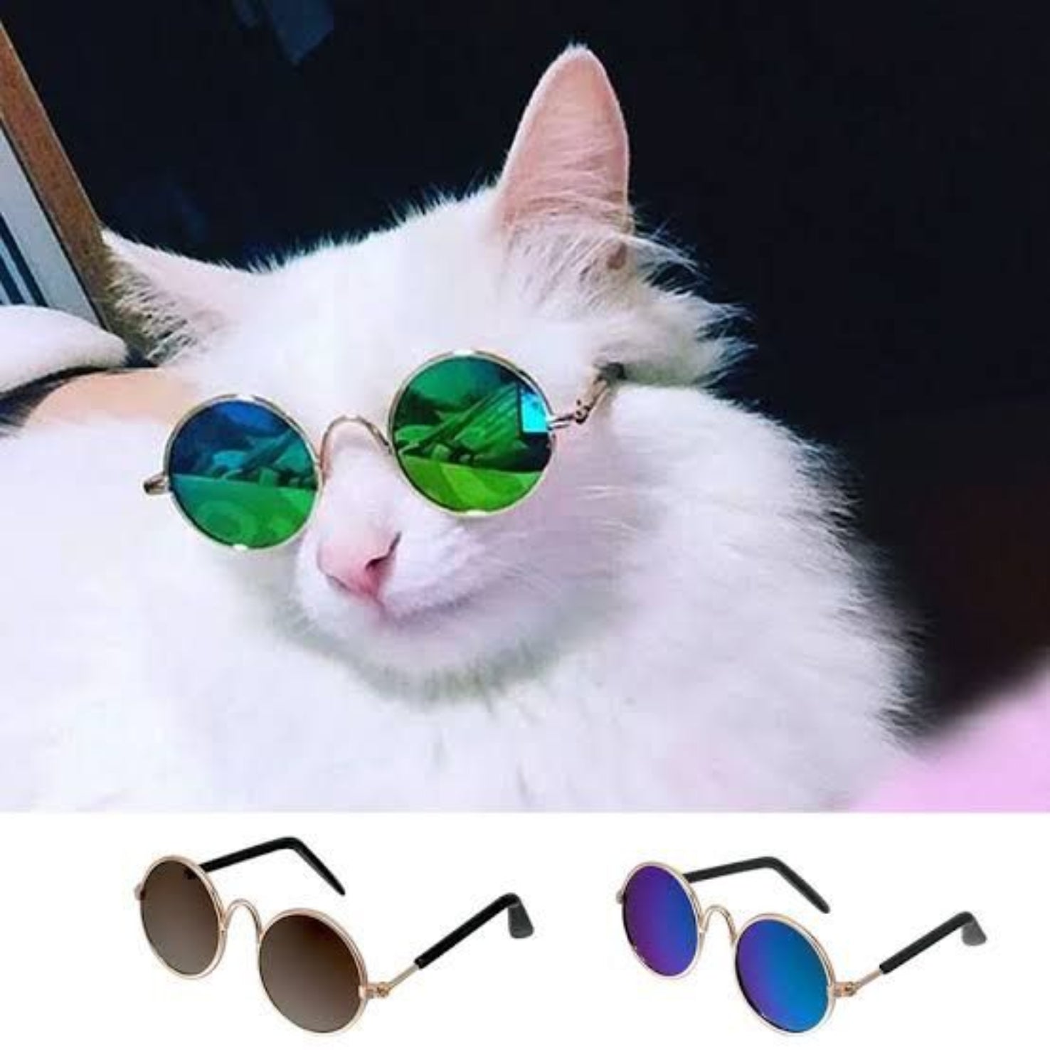 Cats Fancy Face Glasses - Imported