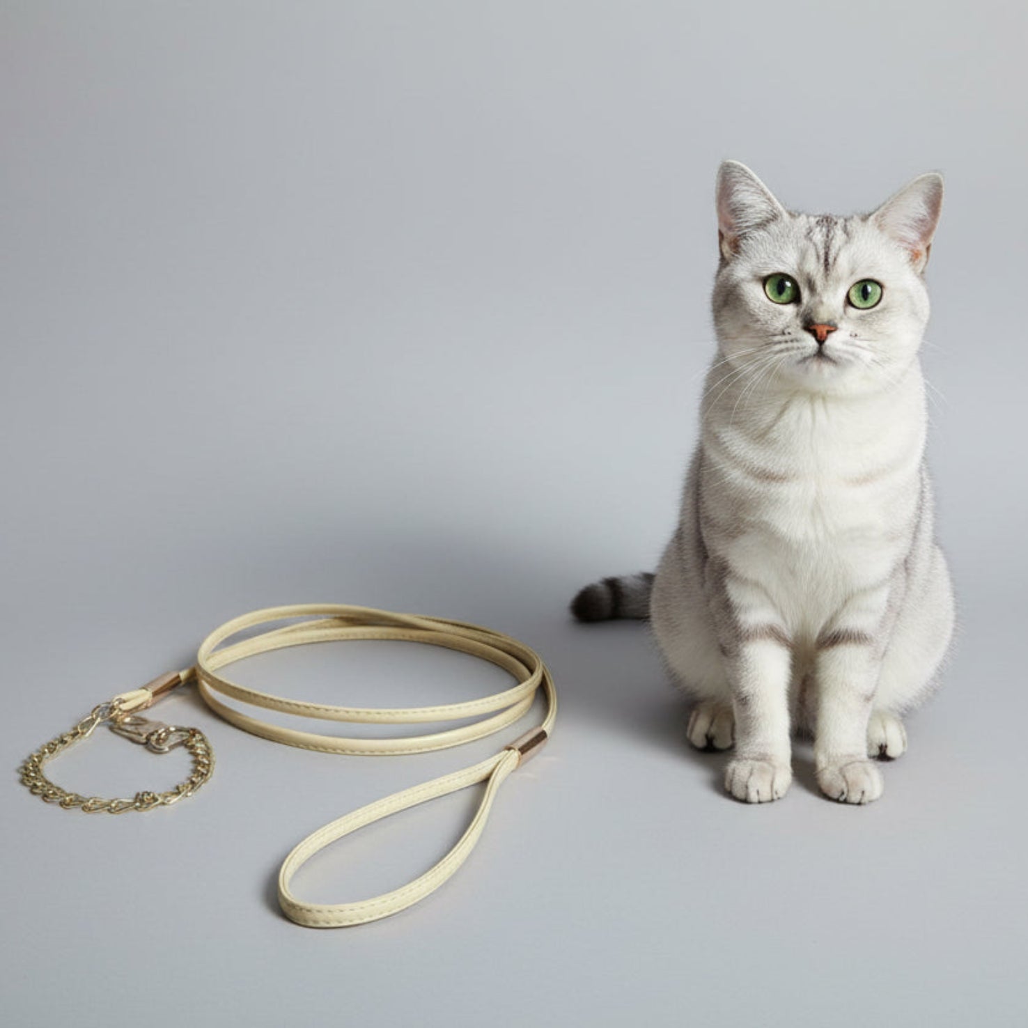 Puppy Leash with Chain Collar