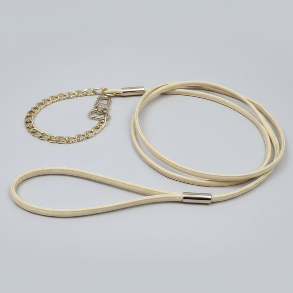 Puppy Leash with Chain Collar