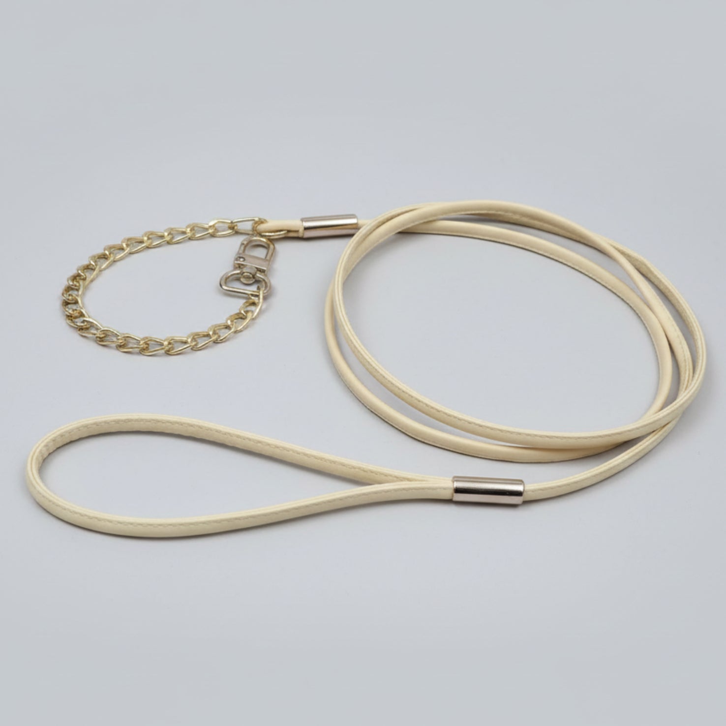 Puppy Leash with Chain Collar