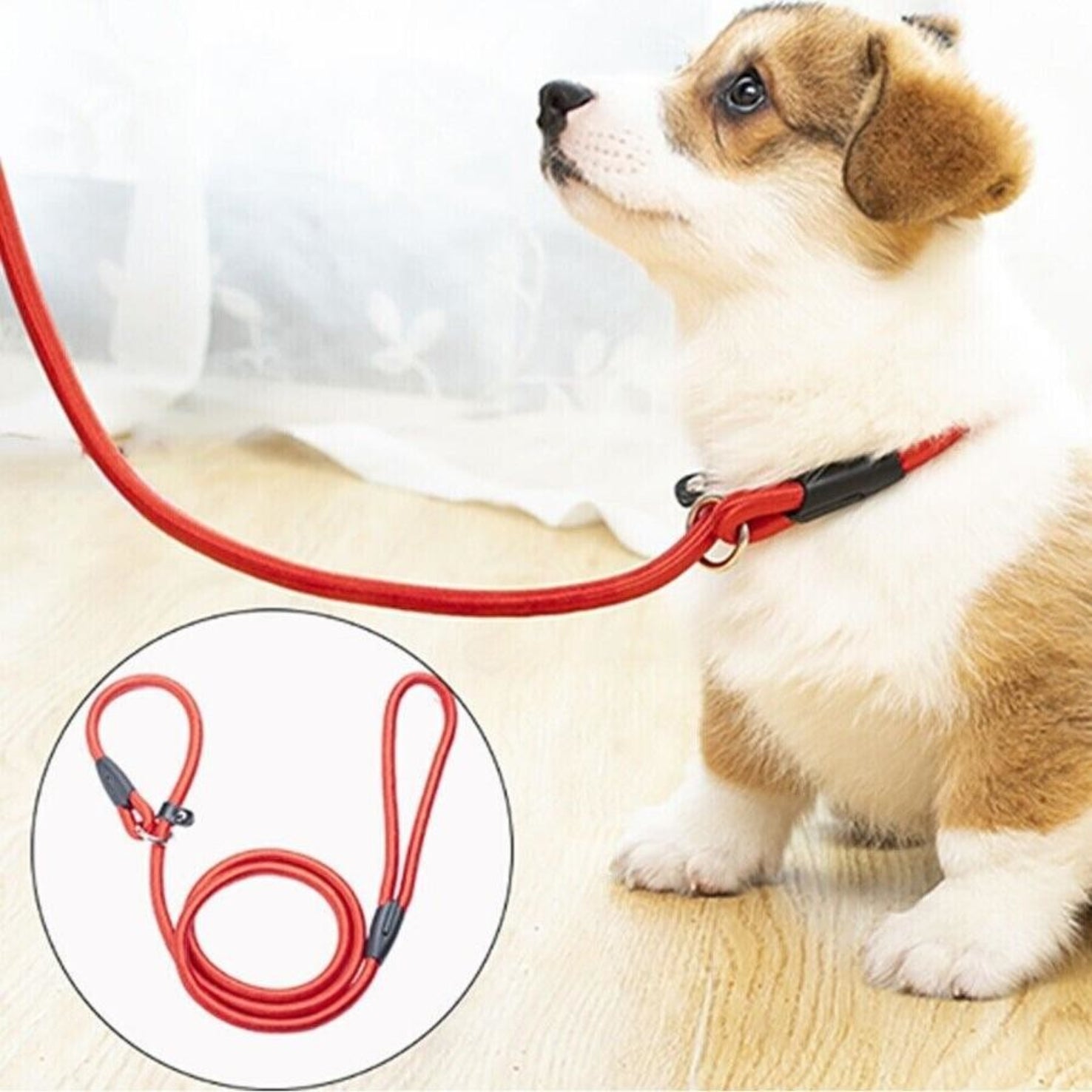 Puppy Leash Small