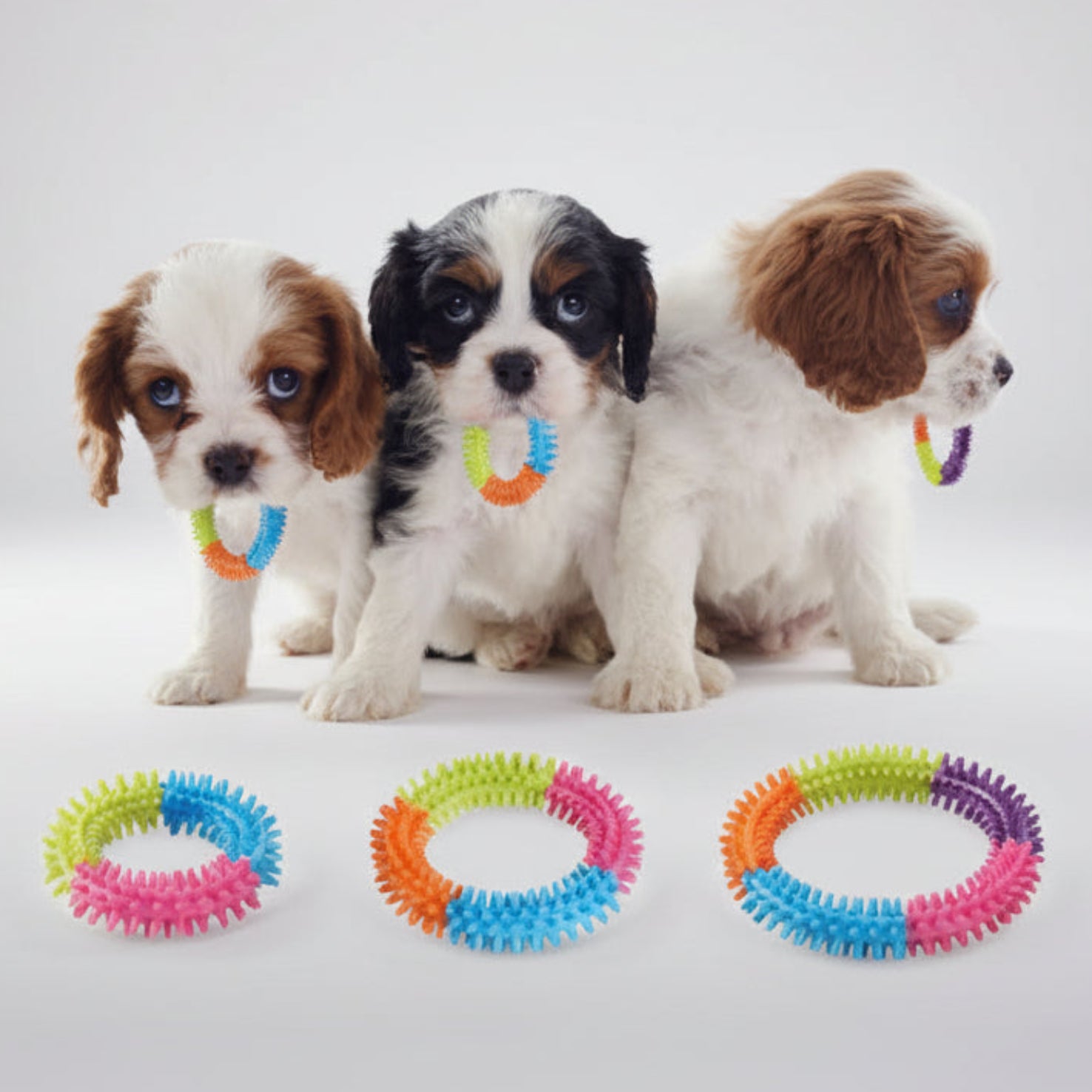 Spike Ring Teather for pet