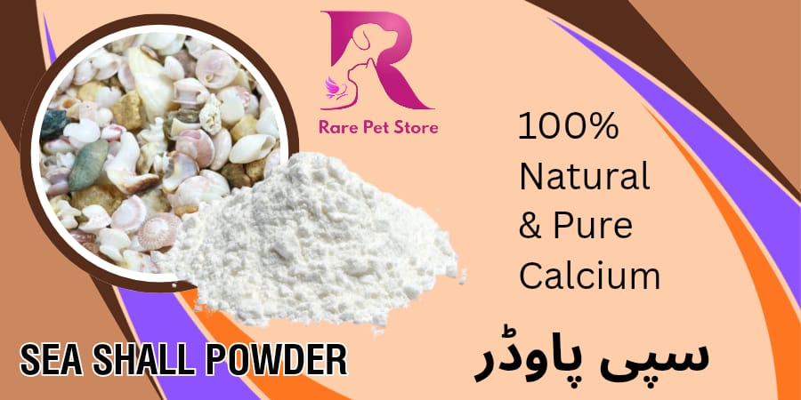 Sea Shall Powder (Sipi Powder) 100% Natual & Pure Calcium